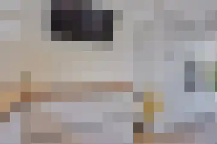 De Boomgaard 7 Zutphen thumbnail 20