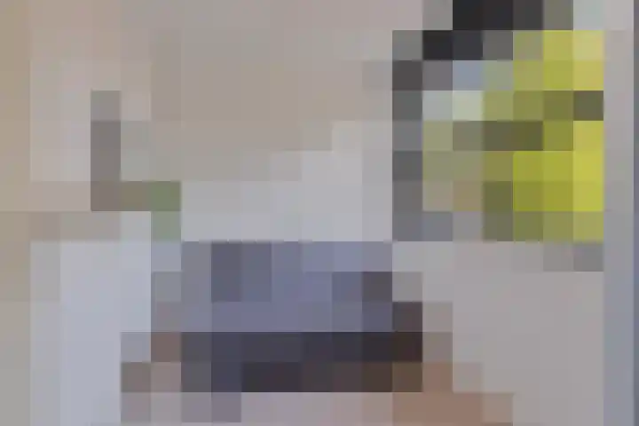 De Boomgaard 7 Zutphen thumbnail 30
