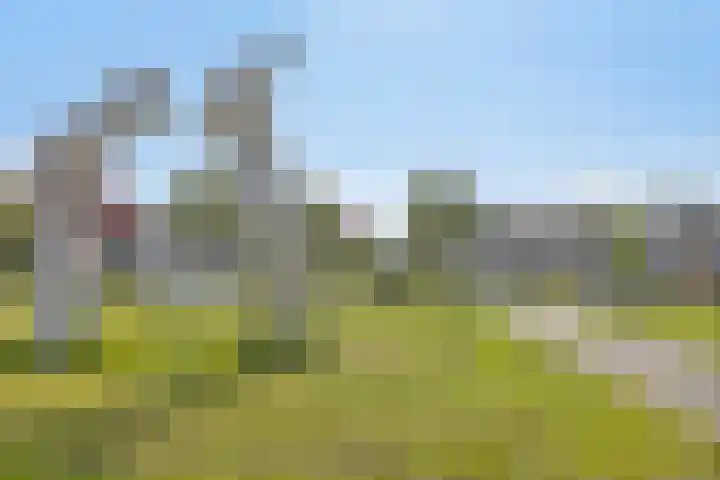 De Boomgaard 7 Zutphen thumbnail 42