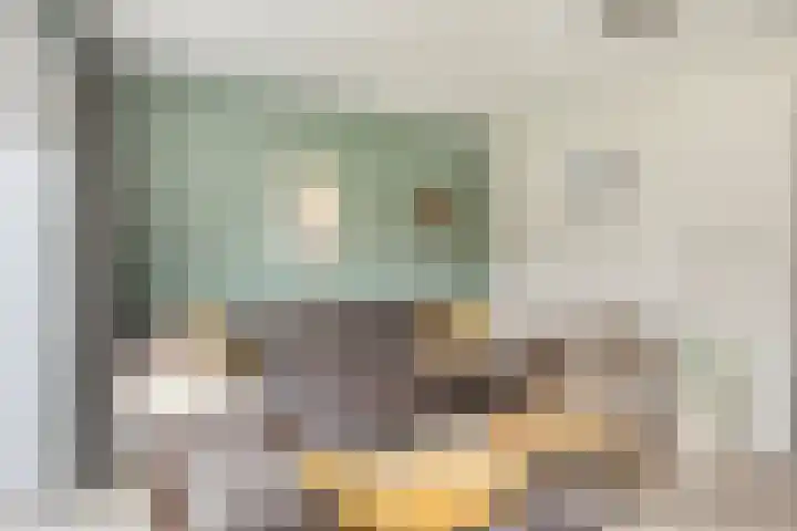 De Boomgaard 9 Nijkerk thumbnail 11