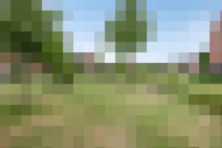 De Boomgaard 9 Nijkerk thumbnail 36
