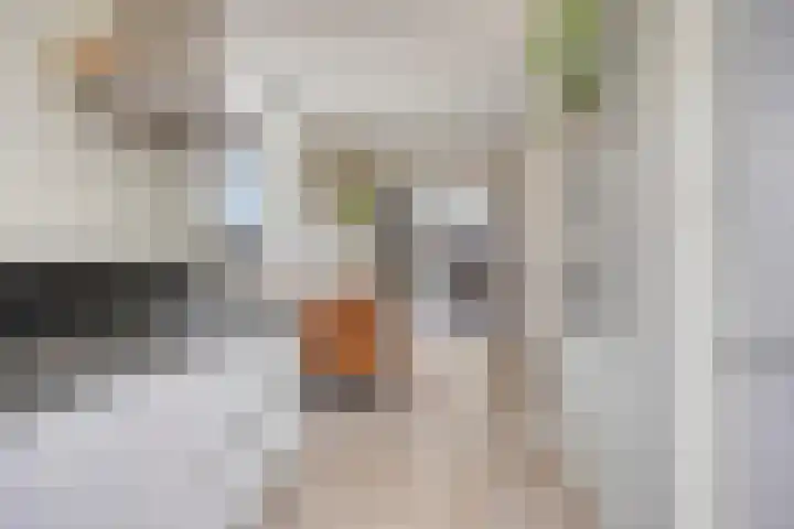 De Boomgaard 9 Nijkerk thumbnail 7