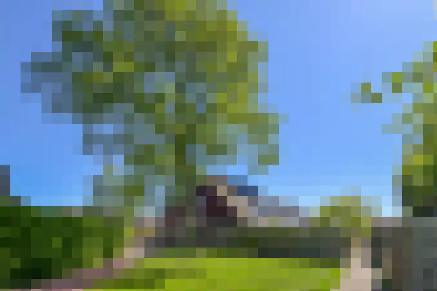 De Boomkamp 12 Nieuwkoop thumbnail 33
