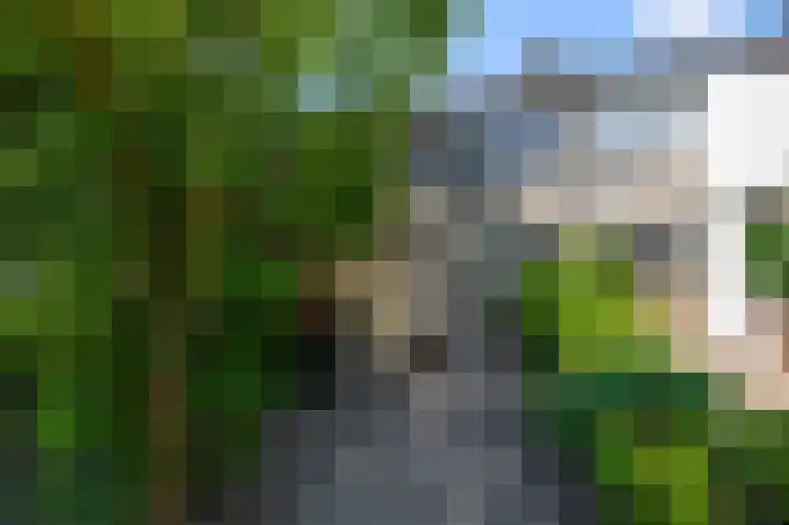 De Boomkamp 4 Nieuwkoop thumbnail 21