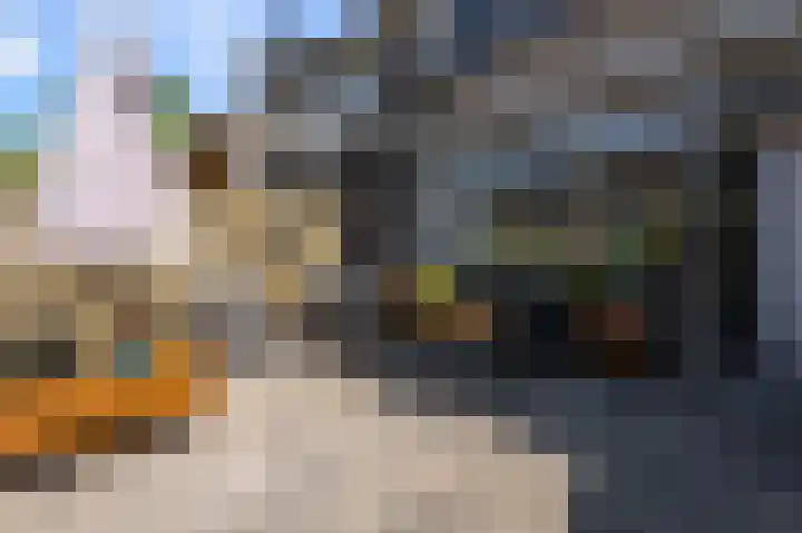 De Boomkamp 4 Nieuwkoop thumbnail 30