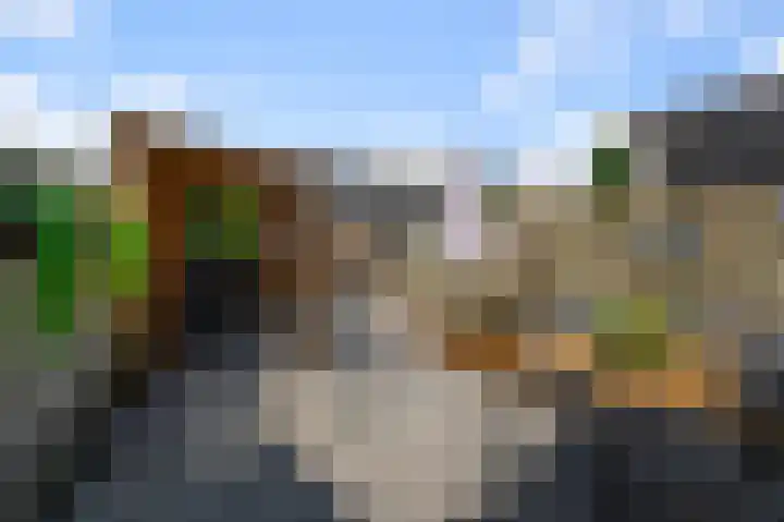 De Boomkamp 4 Nieuwkoop thumbnail 31