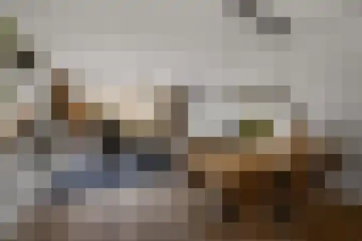 De Boomkamp 4 Nieuwkoop thumbnail 6
