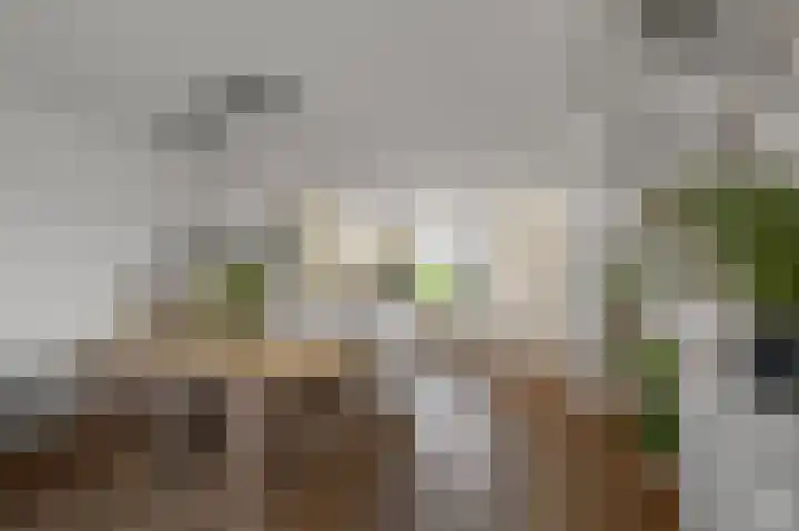 De Boomkamp 4 Nieuwkoop thumbnail 8