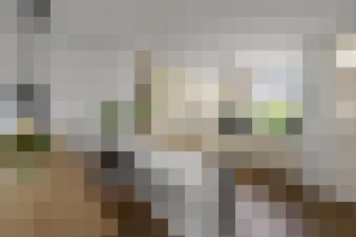 De Boomkamp 4 Nieuwkoop thumbnail 9