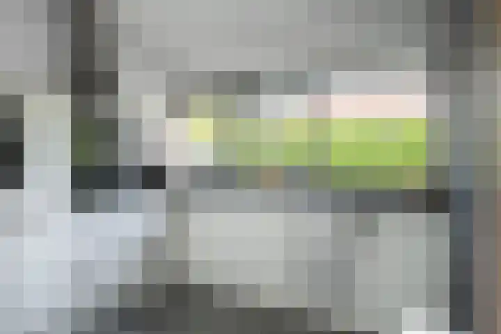 De Boomklever 15 Almelo thumbnail 10