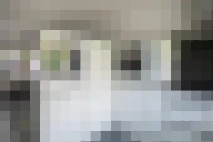 De Boomklever 15 Almelo thumbnail 11