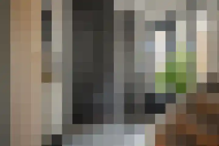 De Boomklever 15 Almelo thumbnail 12