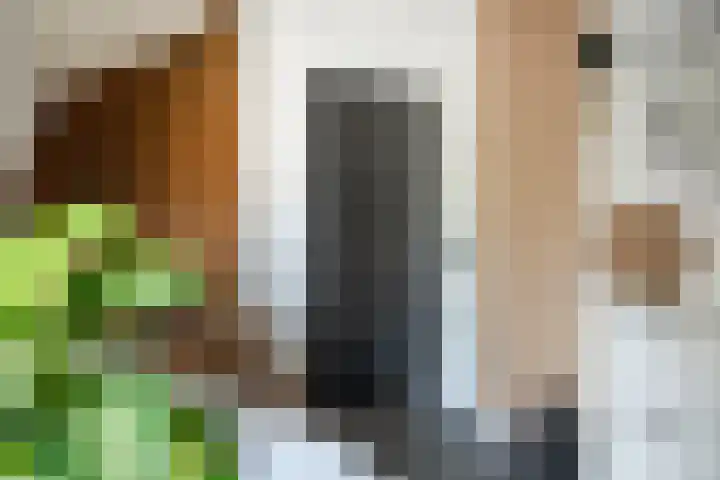 De Boomklever 15 Almelo thumbnail 14