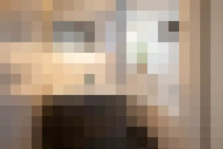 De Boomklever 15 Almelo thumbnail 21