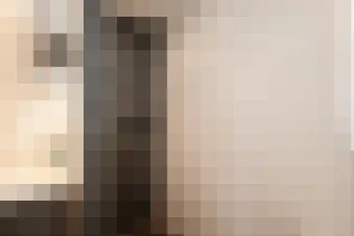 De Boomklever 15 Almelo thumbnail 23