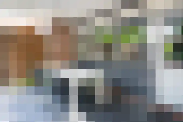 De Boomklever 15 Almelo thumbnail 27