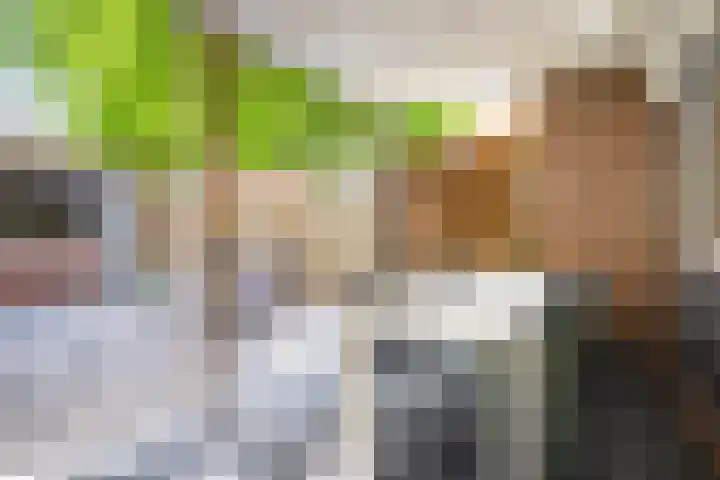 De Boomklever 15 Almelo thumbnail 28