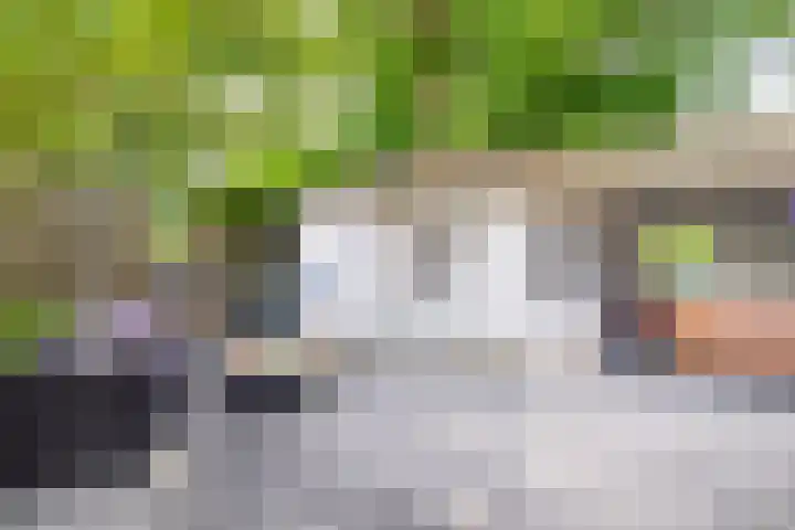 De Boomklever 15 Almelo thumbnail 29
