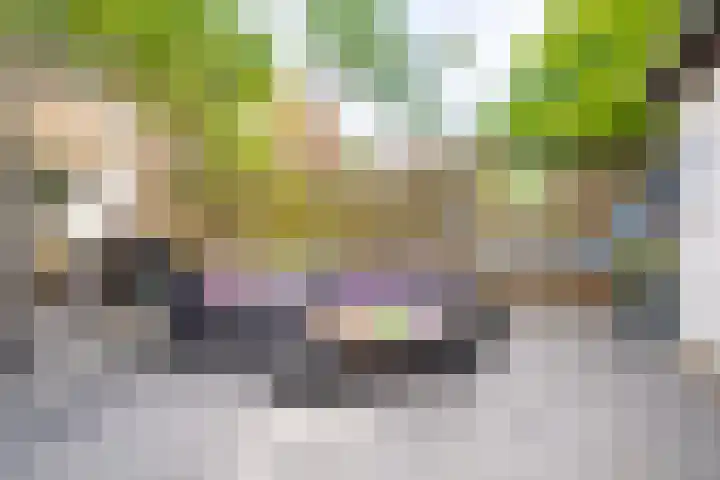 De Boomklever 15 Almelo thumbnail 31