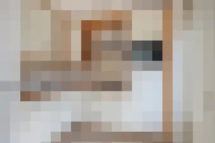 De Boomklever 55 Budel thumbnail 10