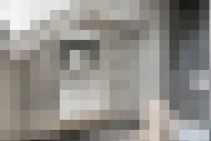 De Boomklever 55 Budel thumbnail 15