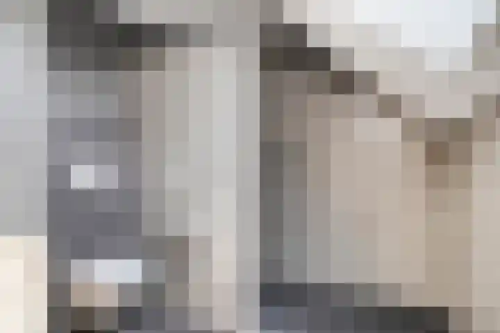 De Boomklever 55 Budel thumbnail 16