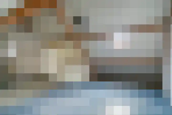 De Boomklever 55 Budel thumbnail 20