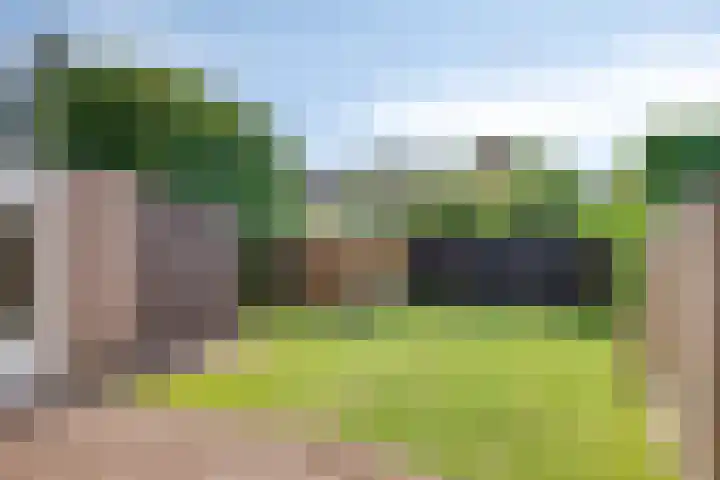 De Boomklever 55 Budel thumbnail 22