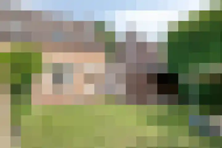De Boomklever 55 Budel thumbnail 23