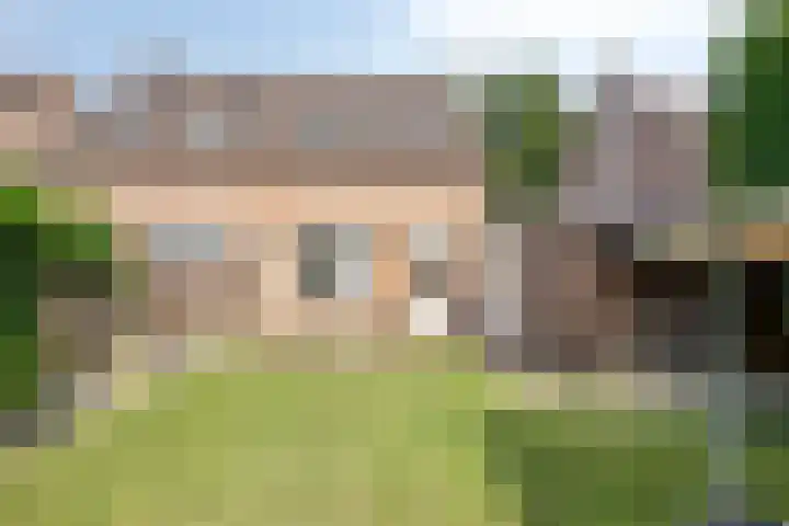 De Boomklever 55 Budel thumbnail 25