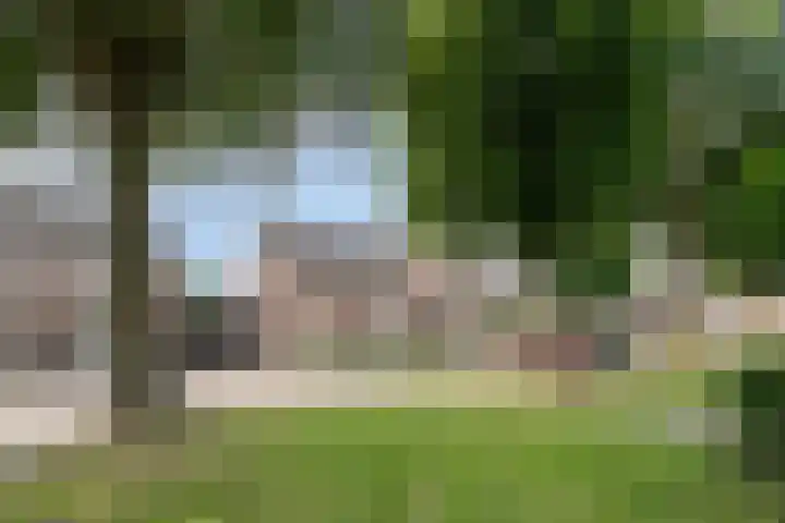De Boomklever 55 Budel thumbnail 26
