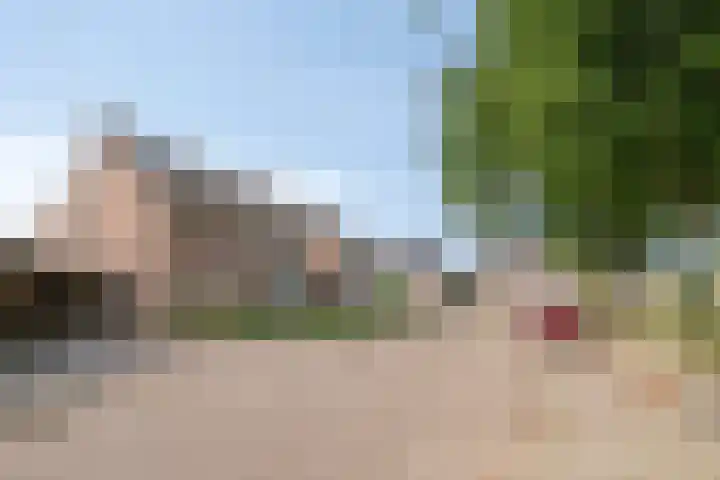 De Boomklever 55 Budel thumbnail 28