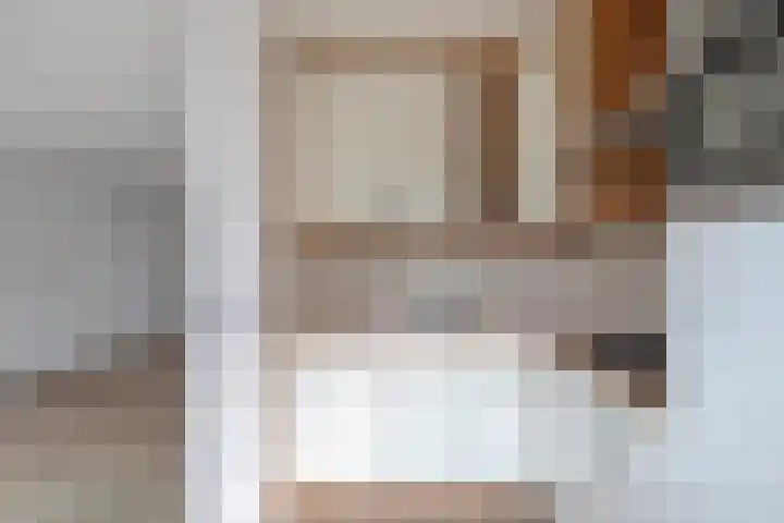 De Boomklever 55 Budel thumbnail 9