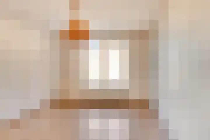 De Boomklever 6 Budel thumbnail 11
