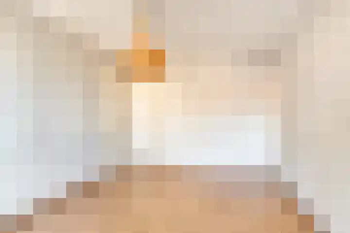 De Boomklever 6 Budel thumbnail 12