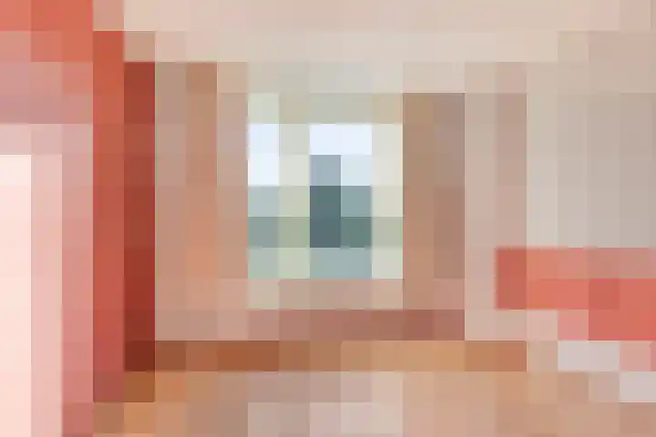 De Boomklever 6 Budel thumbnail 13