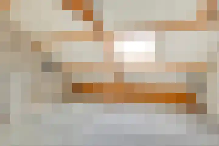 De Boomklever 6 Budel thumbnail 17