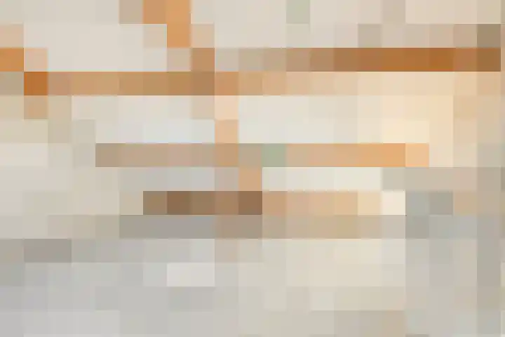 De Boomklever 6 Budel thumbnail 18