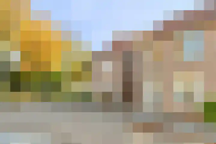De Boomklever 6 Budel thumbnail 19