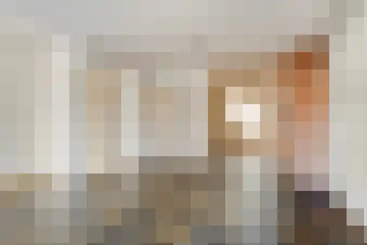 De Boomklever 6 Budel foto 2
