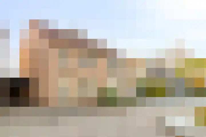 De Boomklever 6 Budel thumbnail 20