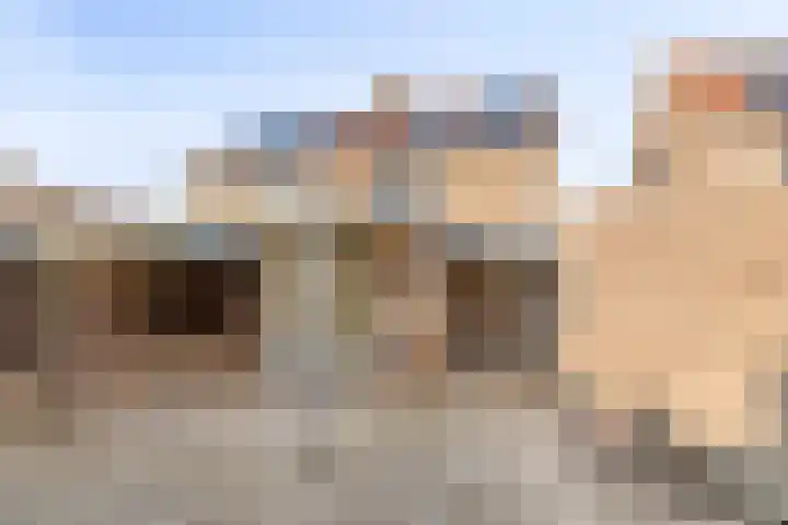 De Boomklever 6 Budel thumbnail 22