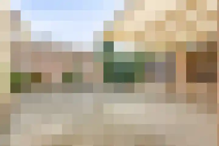 De Boomklever 6 Budel thumbnail 23