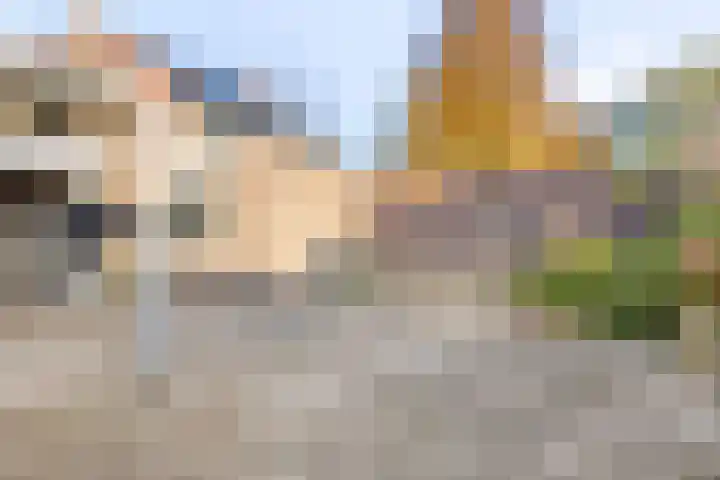 De Boomklever 6 Budel thumbnail 24