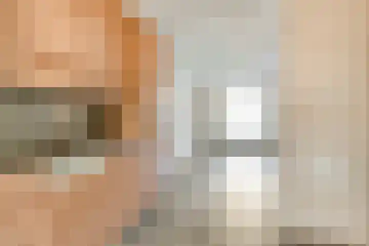 De Boomklever 6 Budel thumbnail 5
