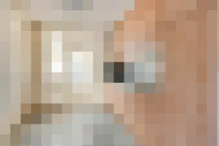 De Boomklever 6 Budel thumbnail 6