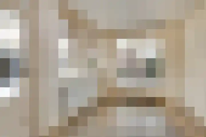 De Boomklever 6 Budel thumbnail 8