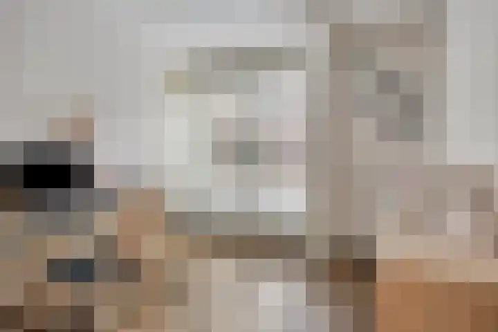De Boonte 22 Budel thumbnail 13