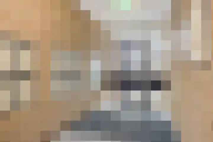 De Boonte 22 Budel thumbnail 18