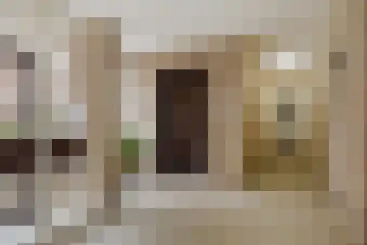 De Boonte 22 Budel thumbnail 19